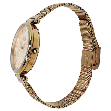 Slazenger Casual Women's Watches  SLZ SL.09.6281.3.06