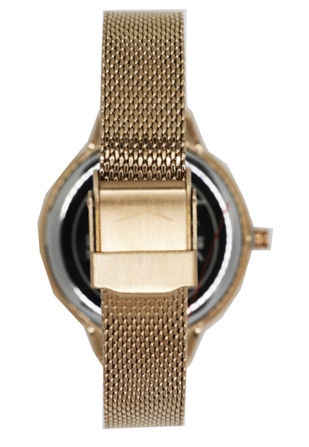 Slazenger Casual Women's Watches SLZ SL.09.6123.3.02