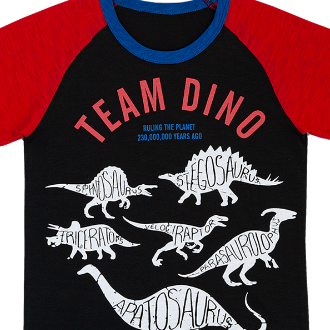 TORIO Basic T - Shirt Dinosaurus Team - Baju Atasan Anak Laki - laki - Kaos Anak Laki - laki
