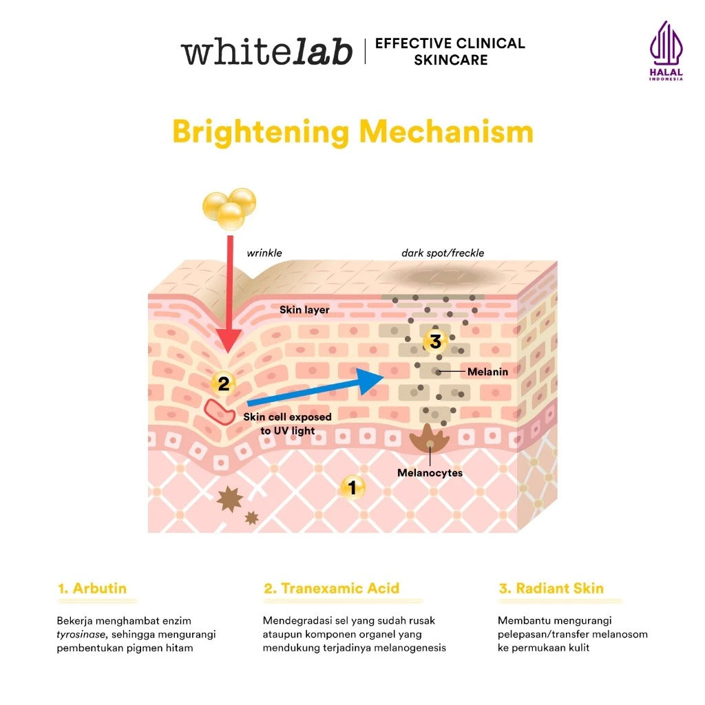 Whitelab Serum Arbutin Anti Dark Spot Flek Hitam - Serum Glowing Pencerah Wajah Bekas Jerawat