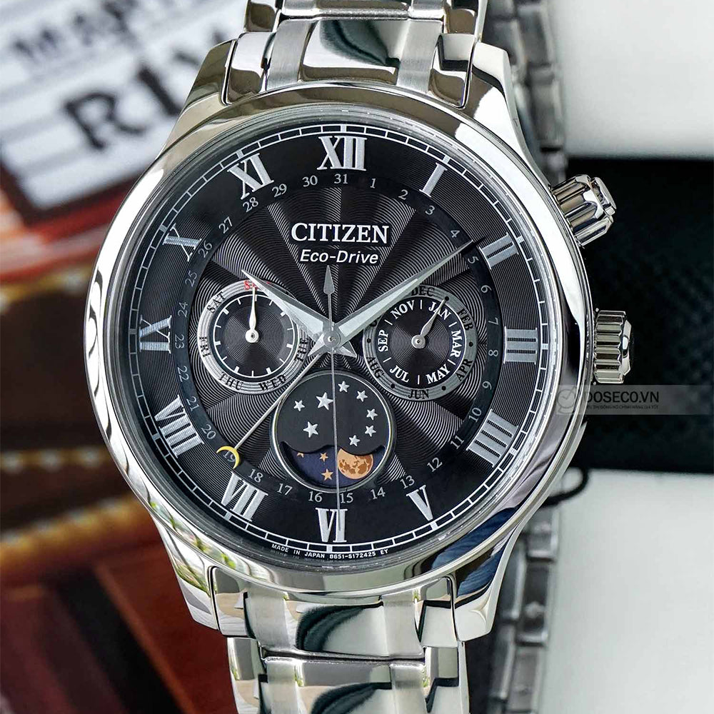 Citizen Eco Drive Men's Watches CTZ AP1050-81E