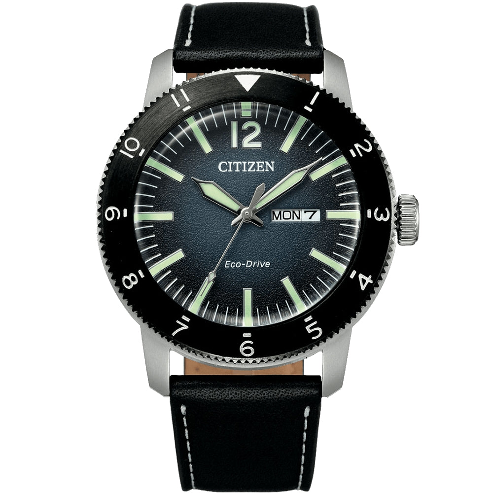 Citizen Eco Drive Men's Watches CTZ AW0077-19L