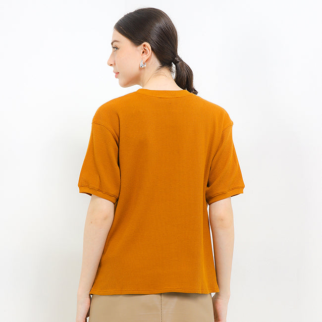 Bsc Alyssa Ts In Camel