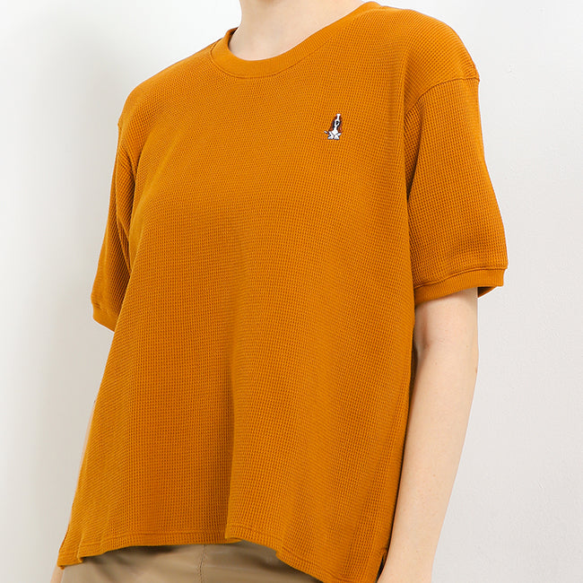 Bsc Alyssa Ts In Camel