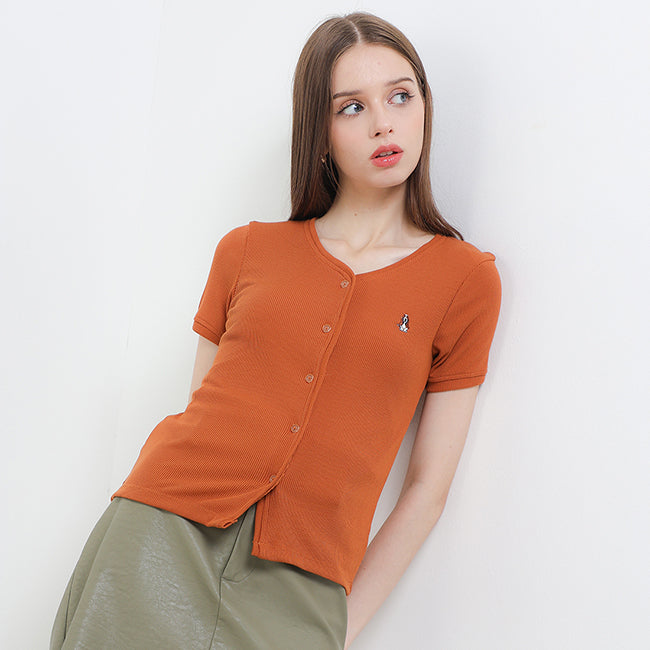 Bsc Danylyn In Camel