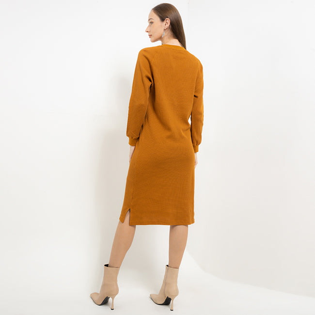 Bsc Alyssa Ldr In Camel