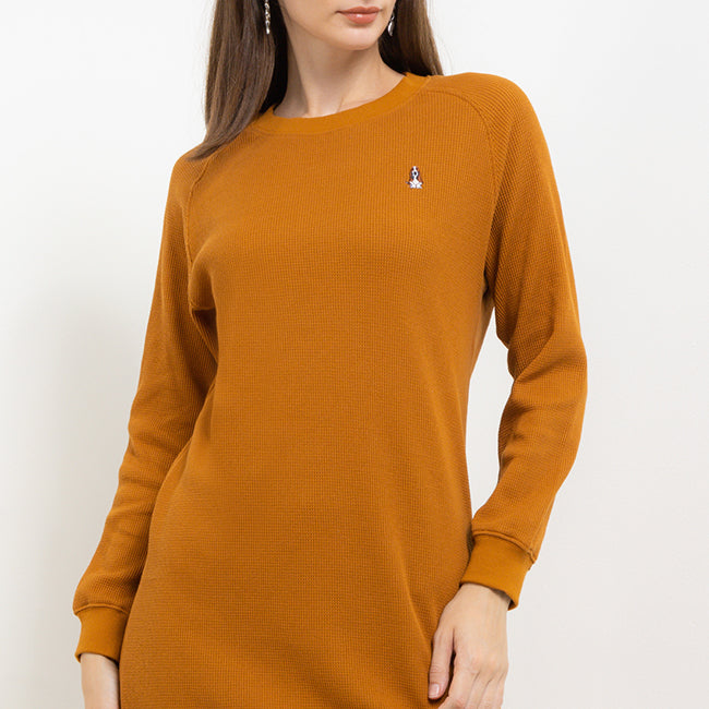 Bsc Alyssa Ldr In Camel