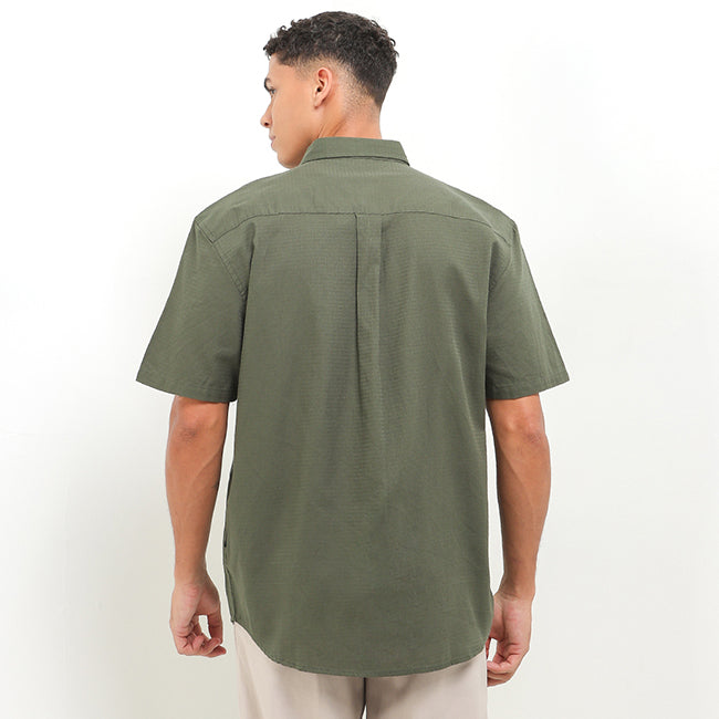 Bsc Bready In Olive