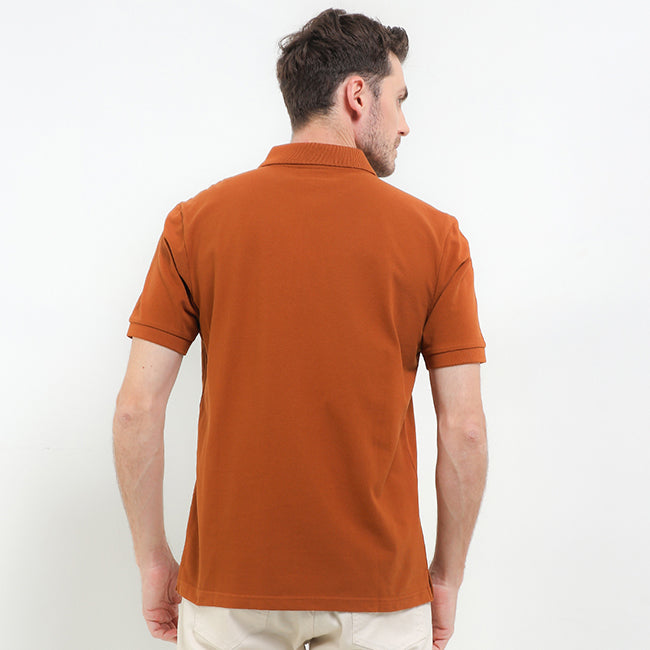 Bsc Tangelo In Camel