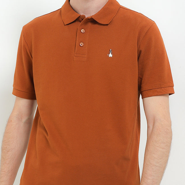 Bsc Tangelo In Camel