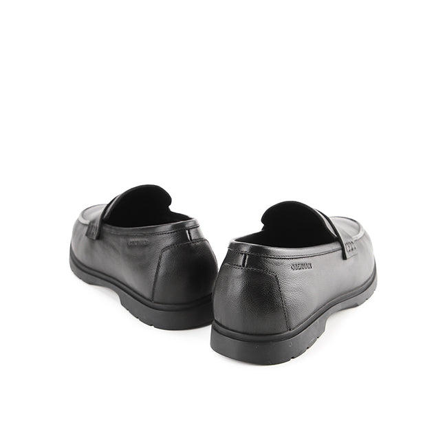 Dailon Ferris In Black