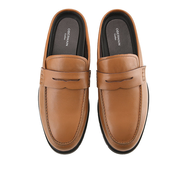 Dailon Ferin In Brown