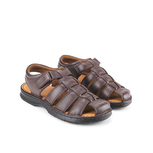 Frankie Sergio In Dark Brown