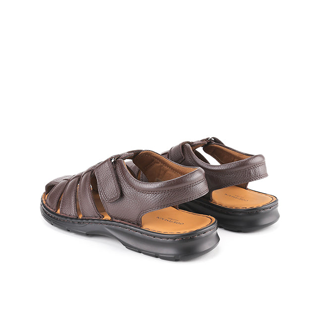 Frankie Sergio In Dark Brown