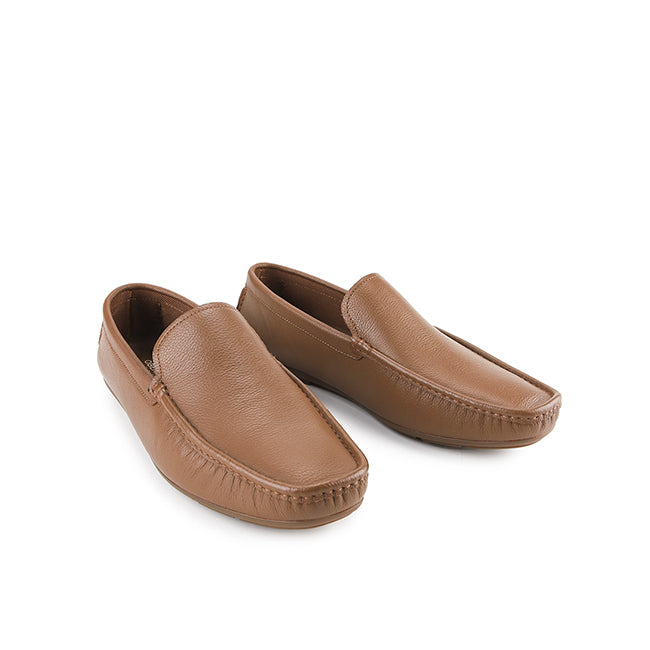 Colt Dallas In Brown