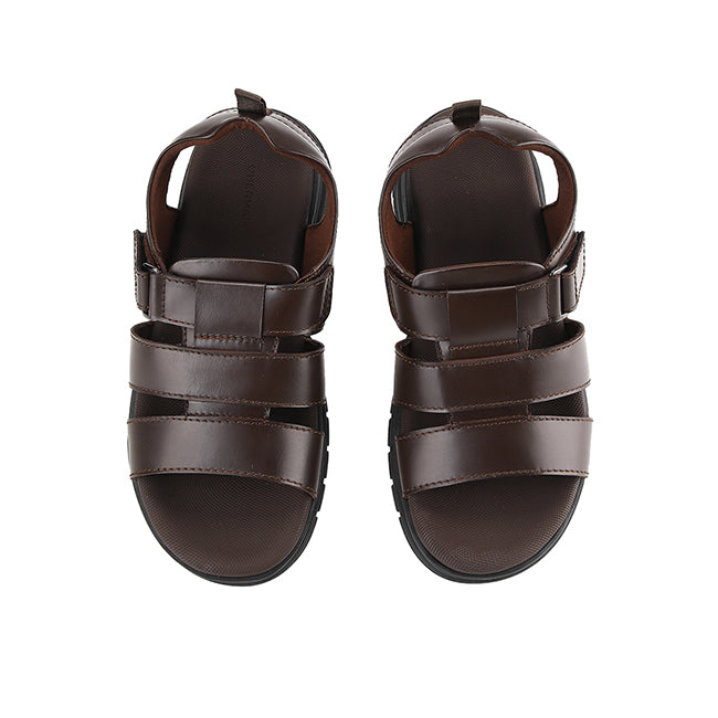 Eddy Robert In Dark Brown