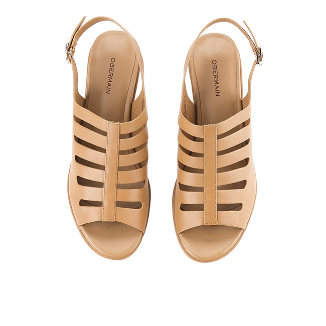 Regina Claire In Brown