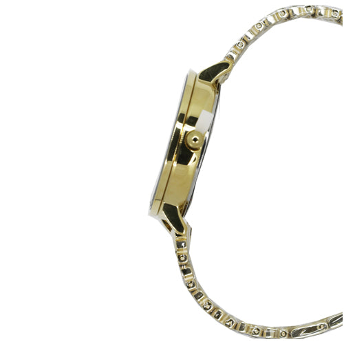 Slazenger Casual Women's Watches SLZ SL.09.6099.3.03