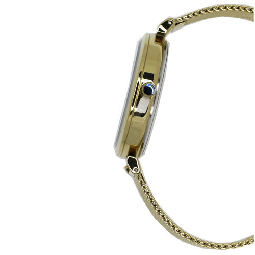 Slazenger Casual Women's Watches SLZ SL.09.6113.3.04