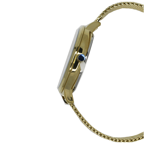 Slazenger Casual Women's Watches SLZ SL.09.6123.3.03