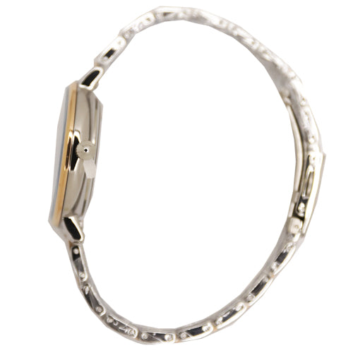 Slazenger Casual Women's Watches SLZ SL.09.6245.3.01