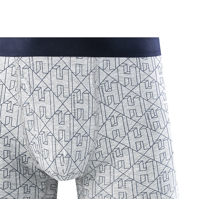 Hush Puppies Pakaian Pria Ctnsp2 Pr Boxer In Blue / Gray