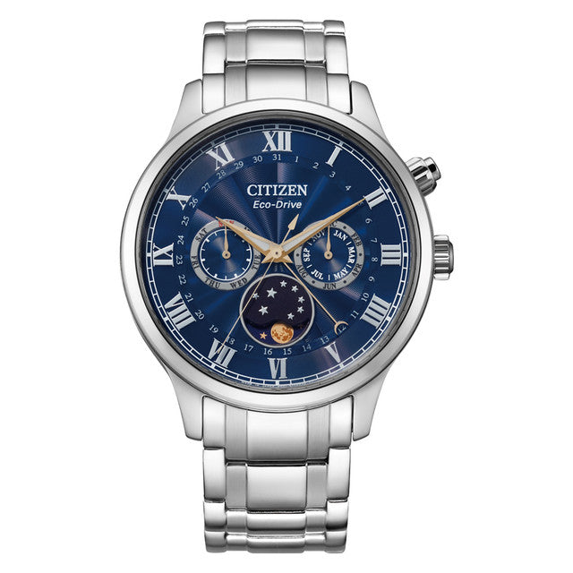 Citizen Eco Drive Men's Watches CTZ AP1050-81L