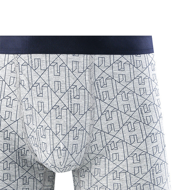 Hush Puppies Pakaian Pria Ctnsp2 Pr Boxer In Blue / Gray