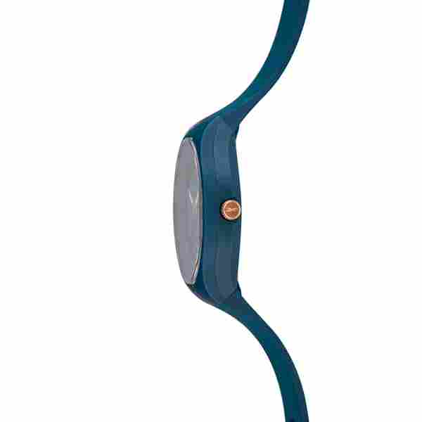 Reebok Casual Women's Watch RB RV-SR2-L1-PLPL-L3