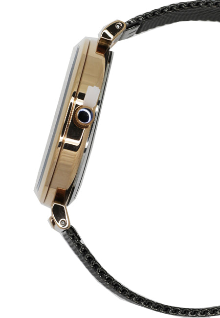 Slazenger Casual Women's Watches SLZ SL.09.6113.3.03