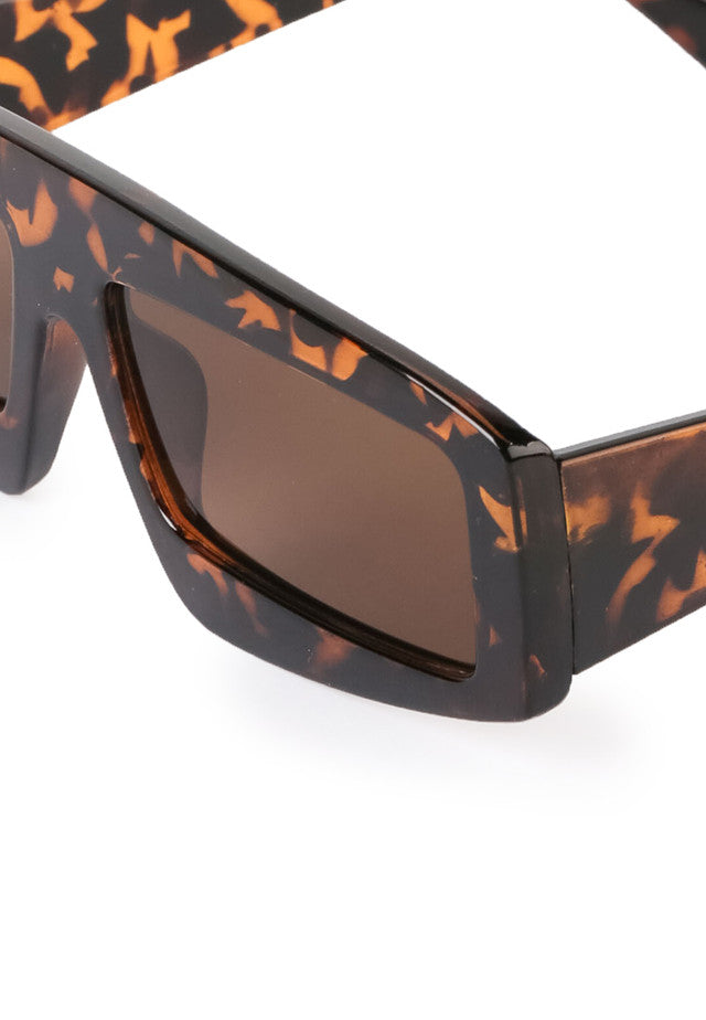 Kingship Kacamata Polarized Klarasha In Brown