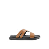 Eagan Dino In Brown