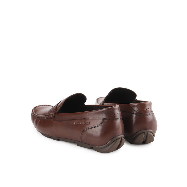 Carlo Jerwin In Brown