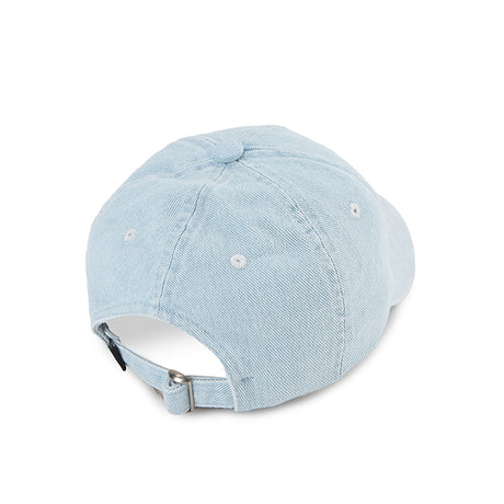 Roman In Light Blue