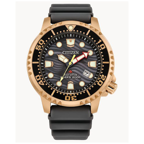 Citizen Promaster Eco Drive Men's Watches CTZ BN0163-00H