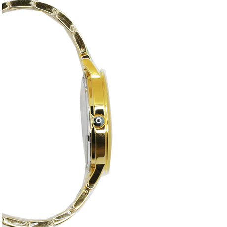 Casual Women's Watches HP 3860L.1507