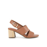 Medley Nc In Brown