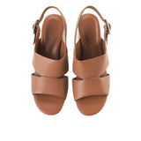 Medley Nc In Brown