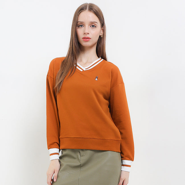 Bsc Vee In Camel
