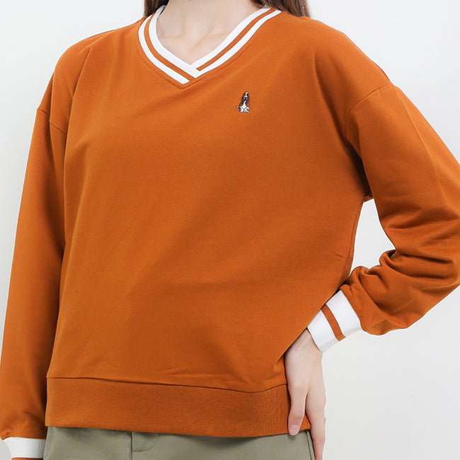 Bsc Vee In Camel