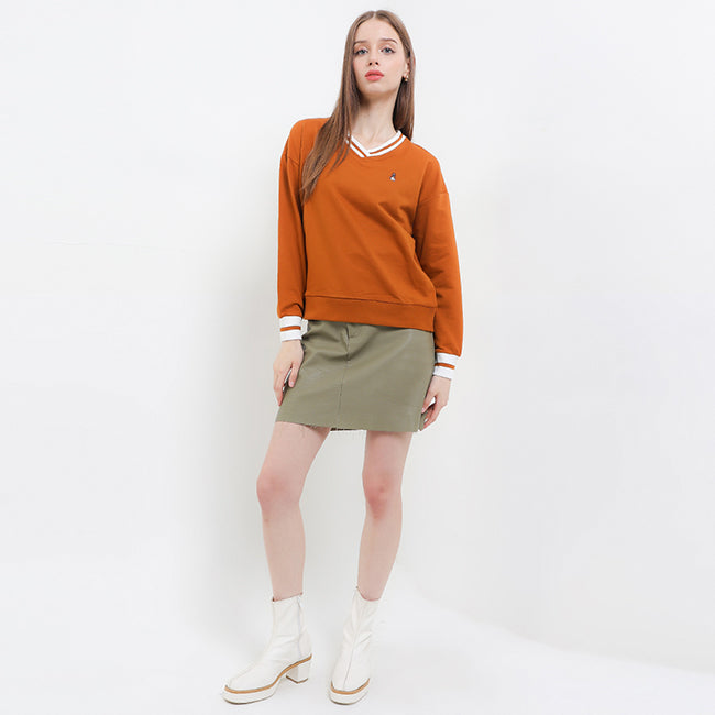 Bsc Vee In Camel