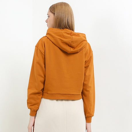 Bsc Voley In Camel