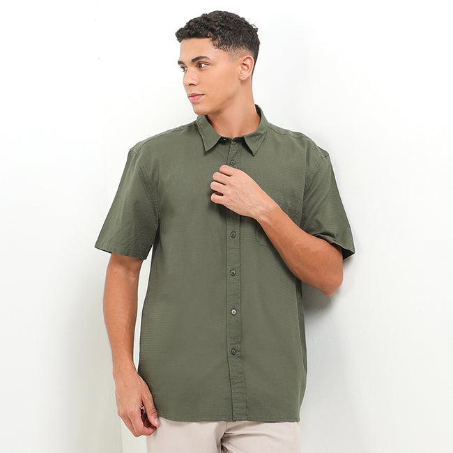 Bsc Bready In Olive