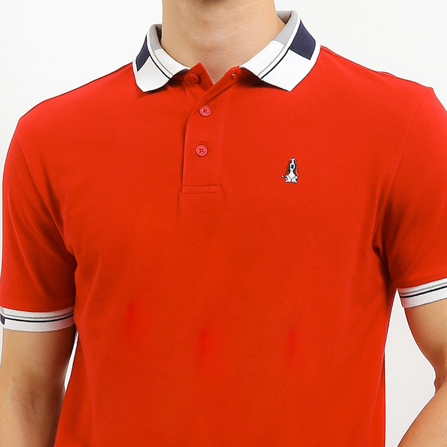 Loup In Red