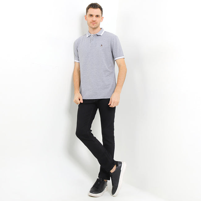Arion 3 In Gray