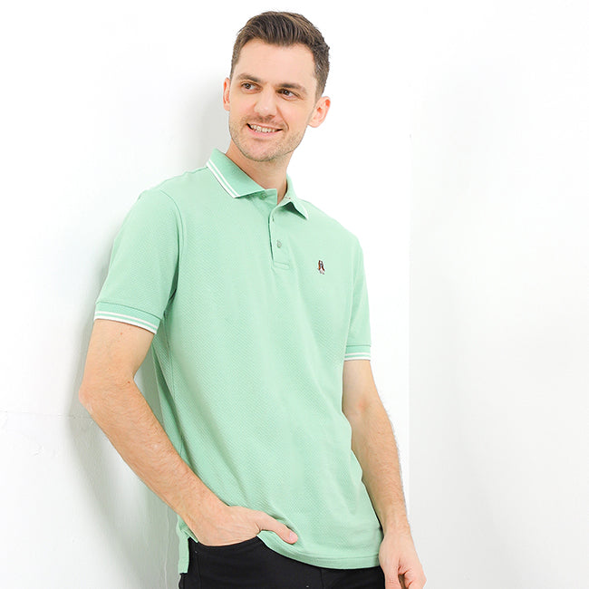Nefud In Green