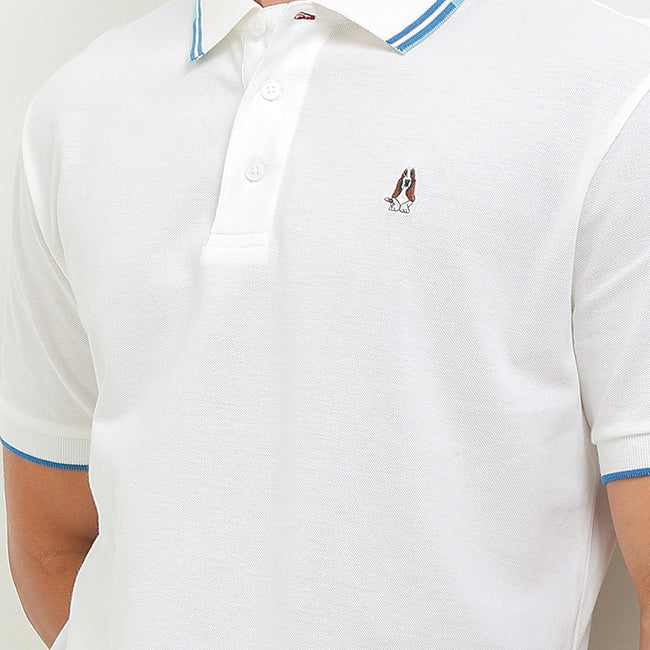 Larus In White