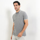 Gouda In Gray