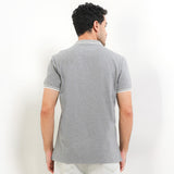 Gouda In Gray
