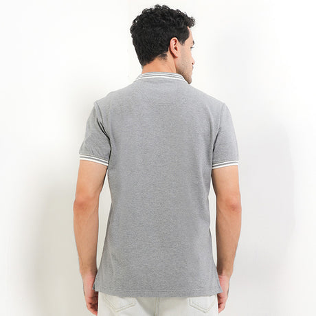 Gouda In Gray